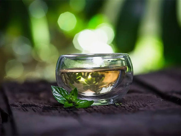 青岛绿茶